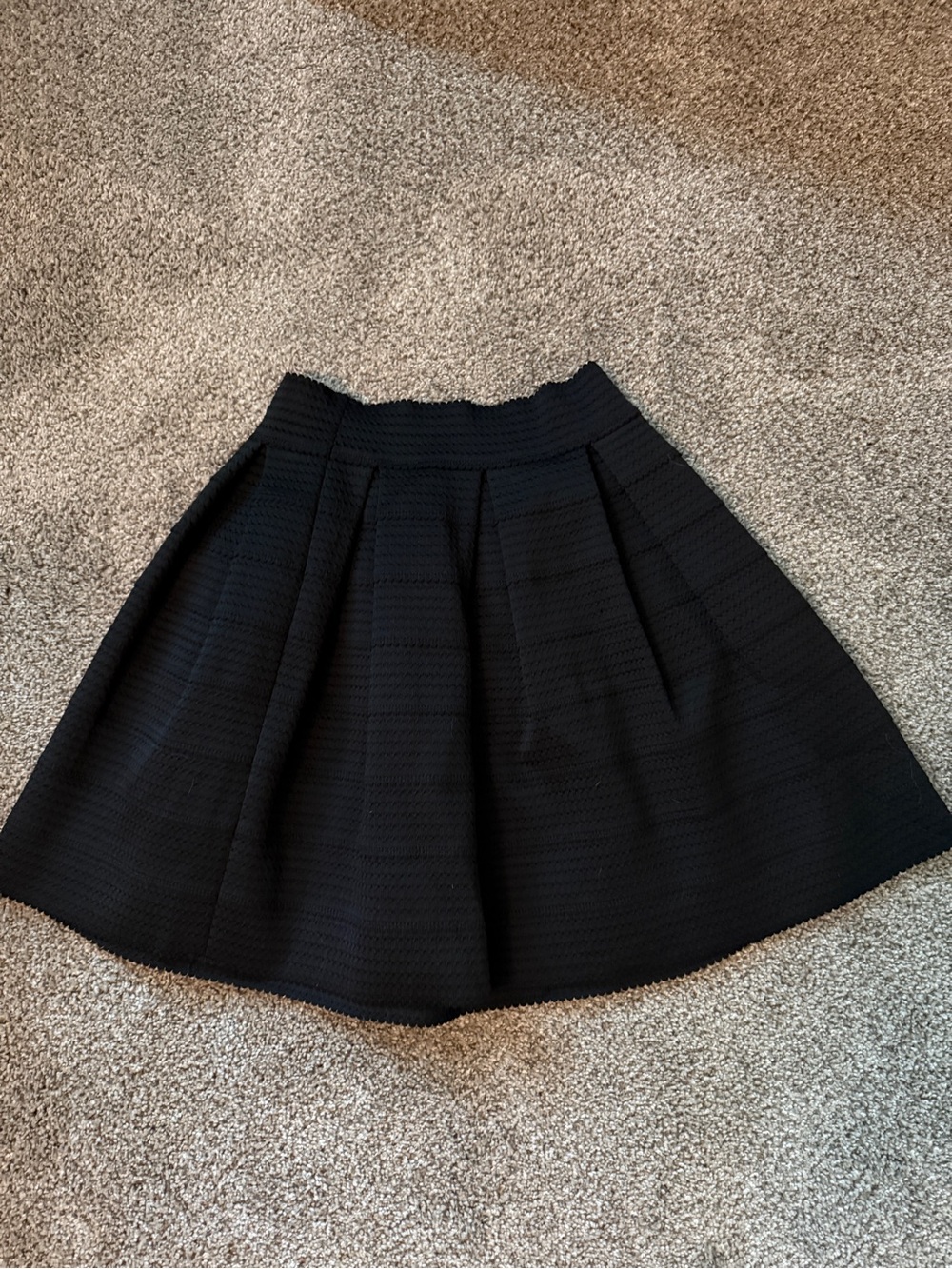 Express Black Circle Skirt with Subtle Texture